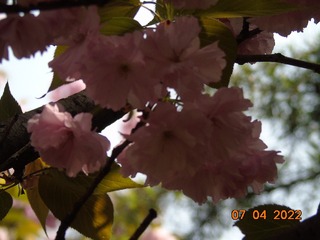 2E5EBA73-1725-48D0-89B7-B58678D54B94/L0/001