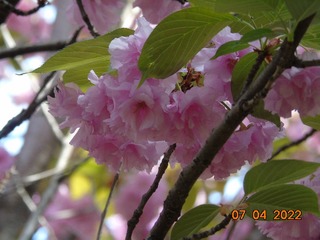 C3B78EC3-E4CF-493F-B475-58C178050092/L0/001