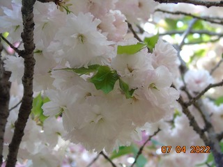 48F11446-061A-4567-9566-92924FFE2C34/L0/001