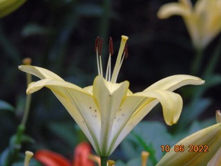 7189600D-F2C2-49E2-A005-CD55BE8786FC/L0/001