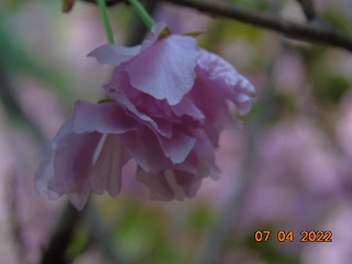 F7B9E214-7E55-44FD-8D62-B7673272B6AC/L0/001