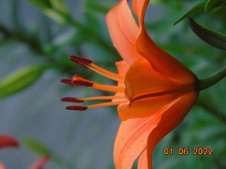 EF28BDCC-56CD-41FF-89D2-66E67CE0AE51/L0/001