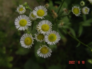 ABE832B6-221D-4BF9-80A9-EC1963929653/L0/001