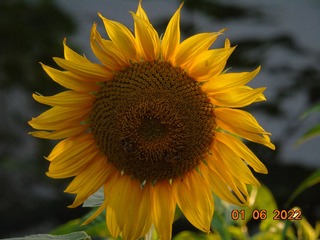5B24BE74-C35F-48A4-B8D3-984DD0C61A61/L0/001