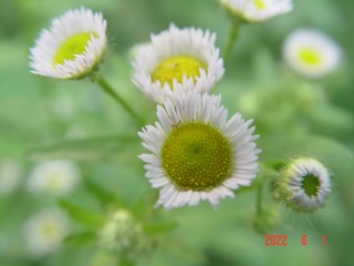 9B8309C4-ED91-4D35-BE4F-25E58B873F64/L0/001