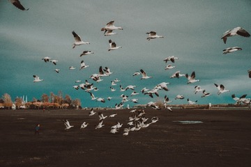 60023D30-F804-4613-AF9C-47218C657B96/L0/001