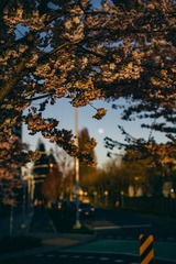 4C067C57-36D3-4D8E-95E1-FD84FFC9BBF9/L0/001