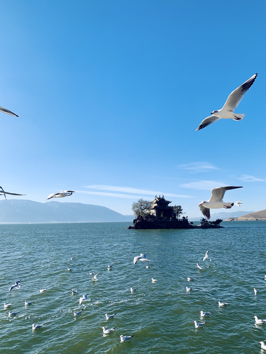 大理•风景 - 摄影师160613788700318