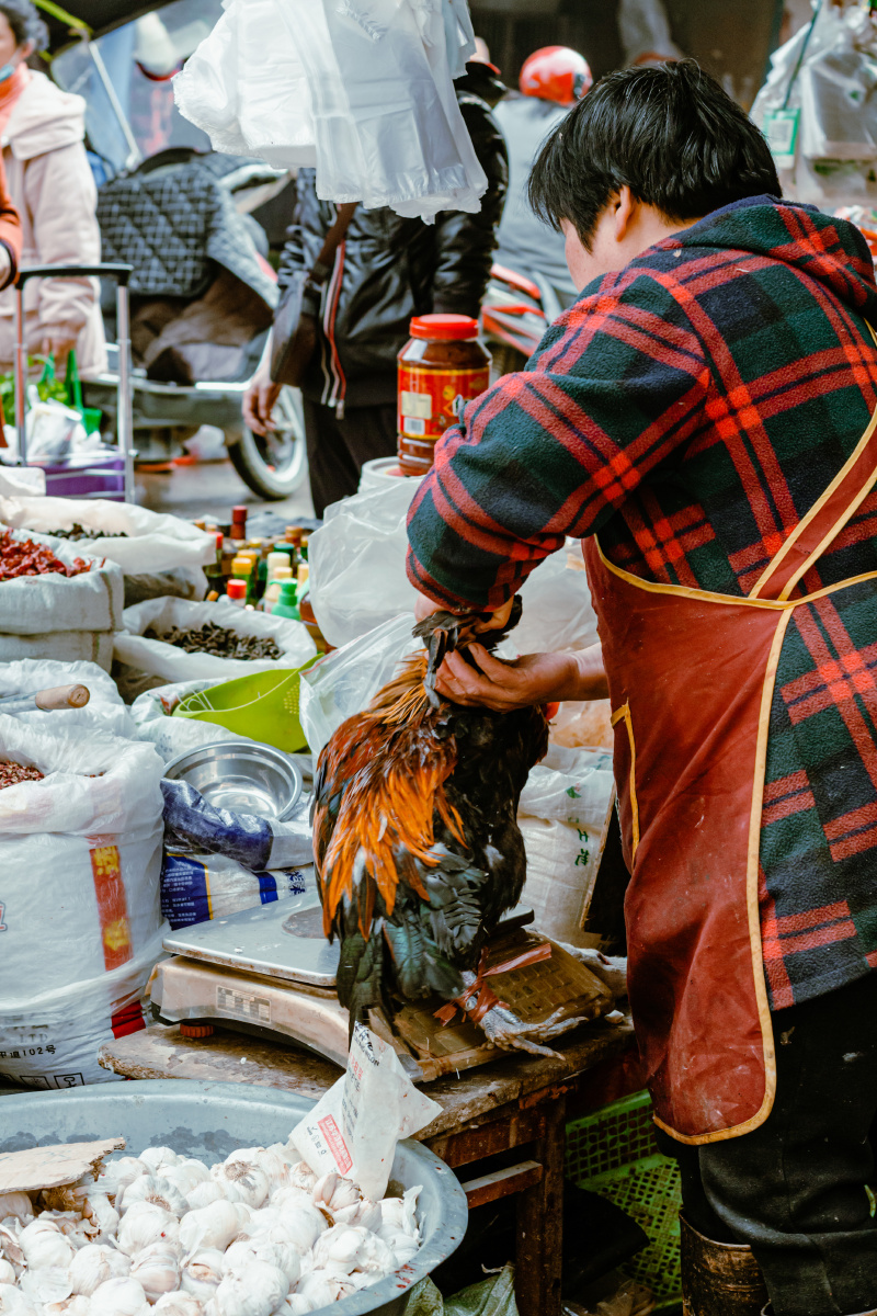 被主宰的生命后会更热爱生活73至少你的生杀鸡摊杀鸡的人市场杀鸡