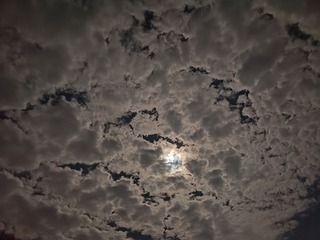 1000113003