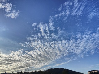 1000106072