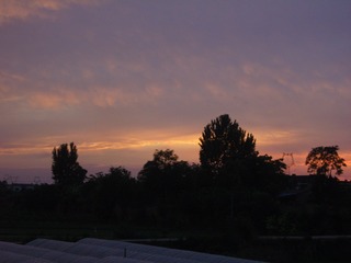 88691088-2B32-4AAB-AAA6-3C415C8AC170/L0/001