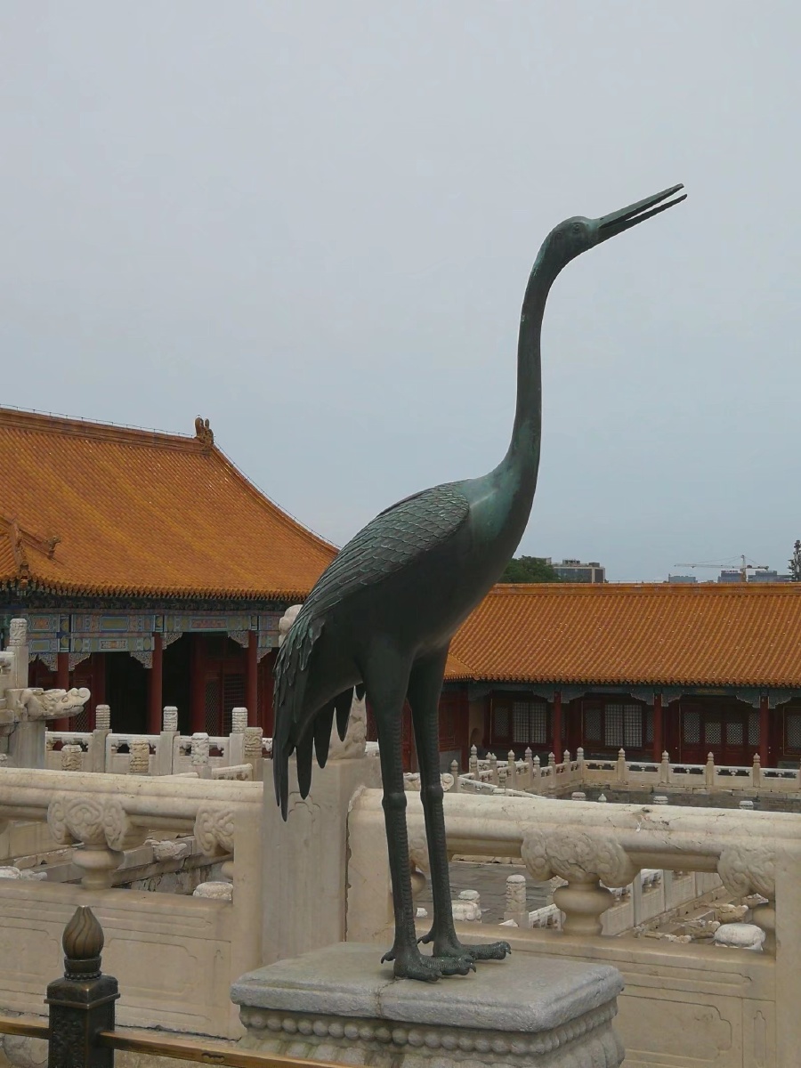 1/123昆虫摄影圈子鸟#仙鹤故宫紫禁城北京还没有人打赏,快来当第一个