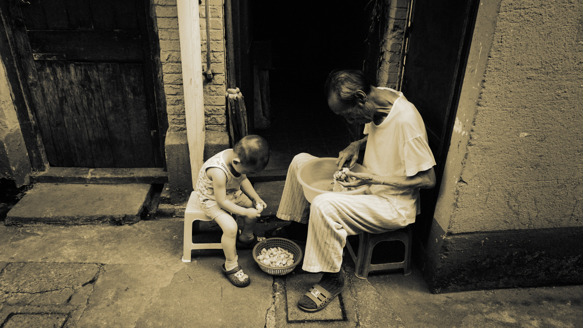 老人教导他的孙子如何拨百合.