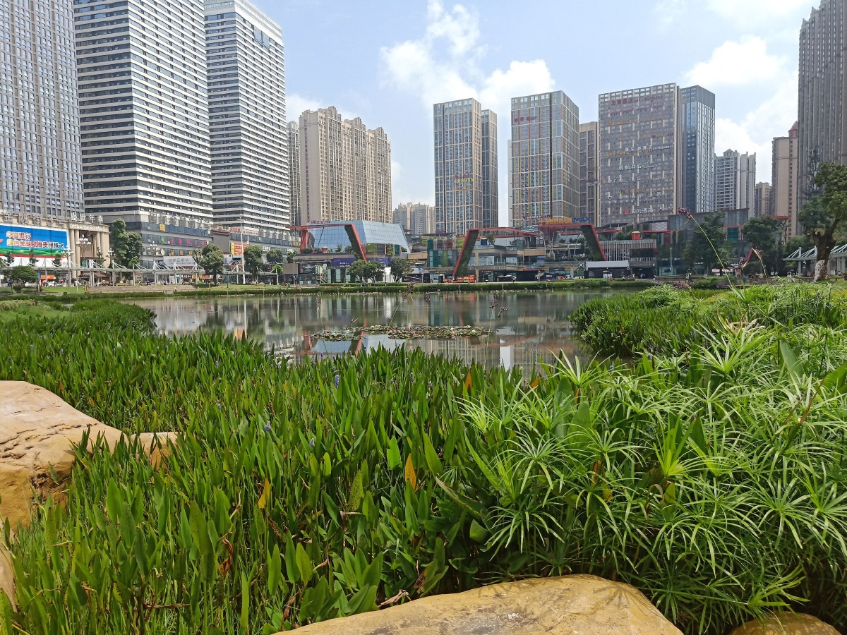 贵阳花果园湿地公园