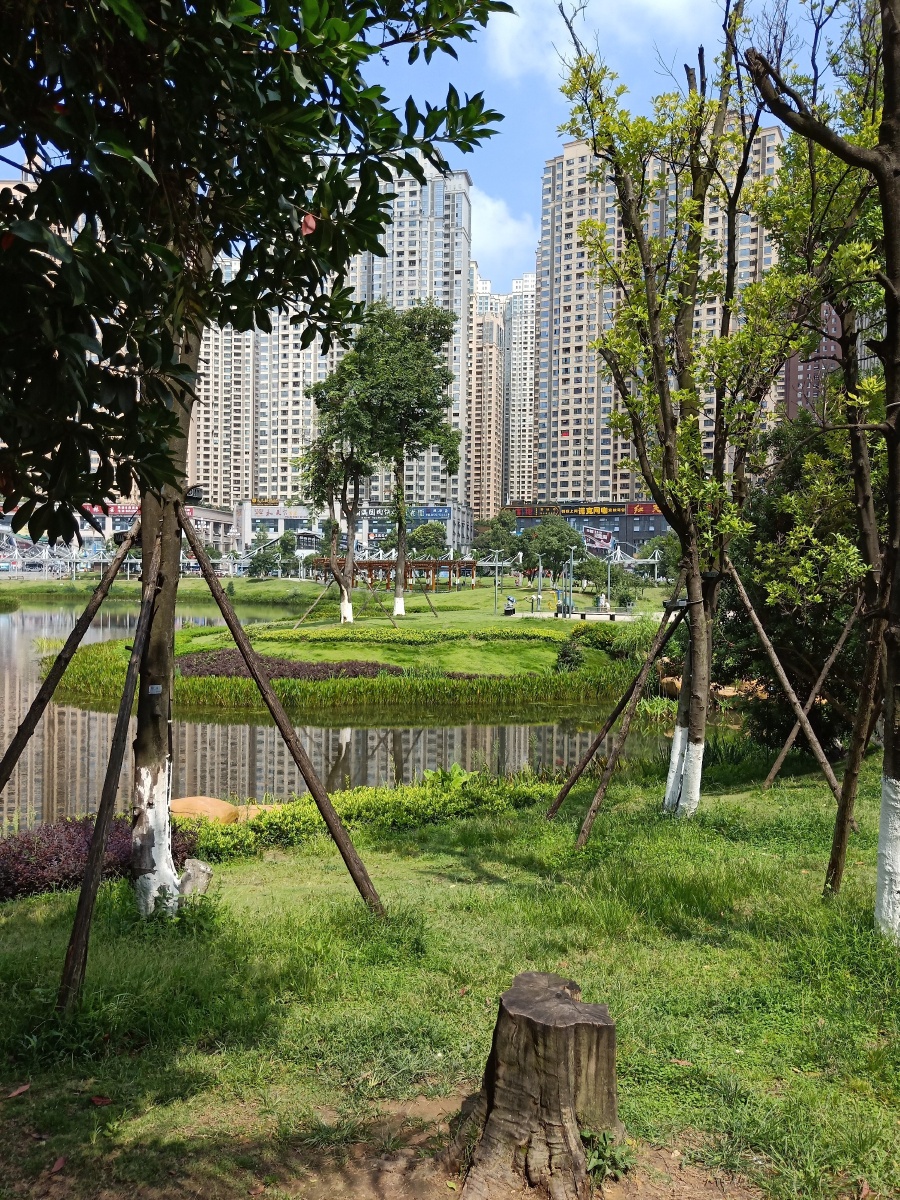 贵阳花果园湿地公园