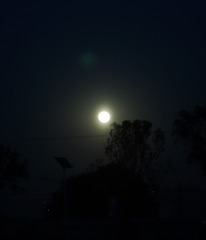 1075262