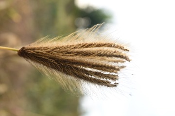 53635