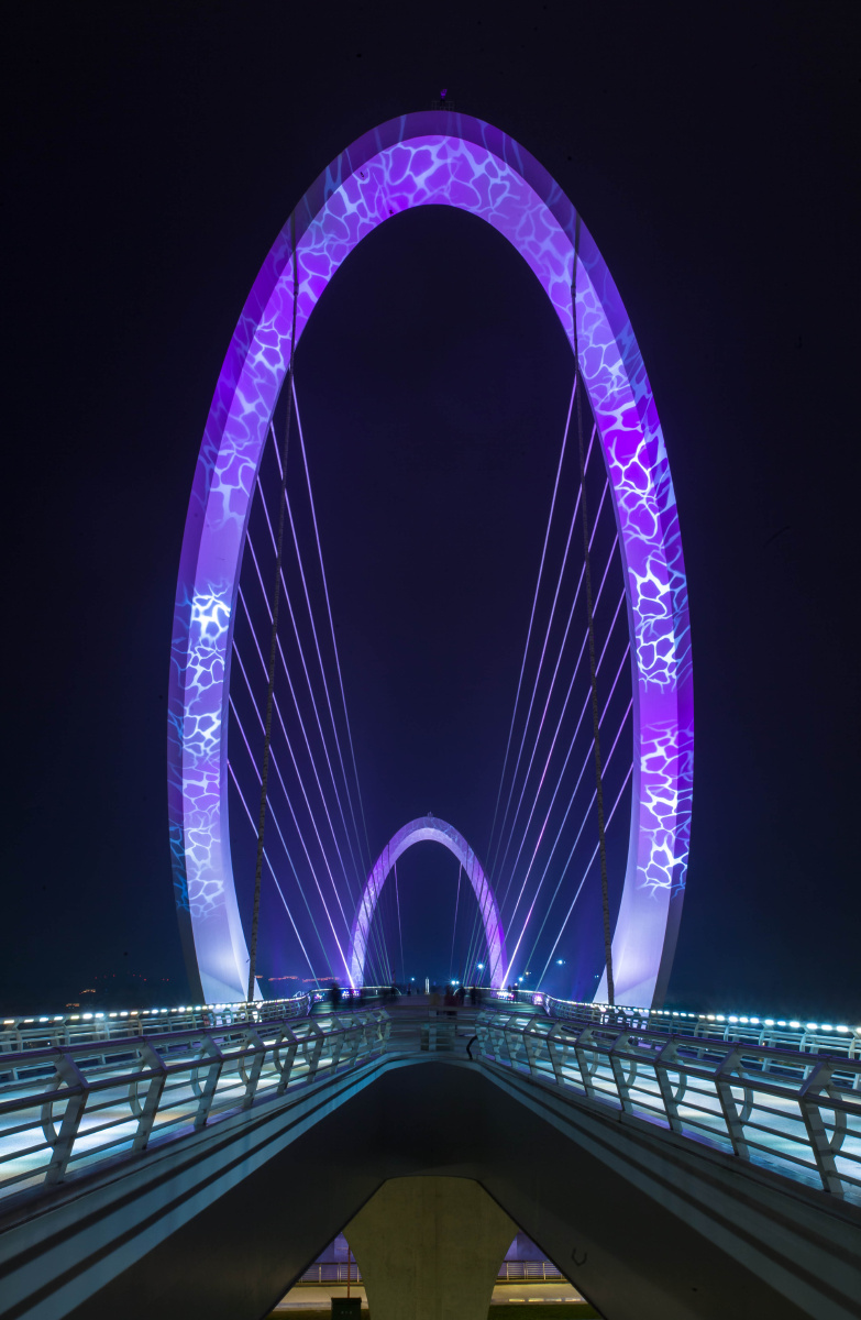 南京眼南京青奥会地标