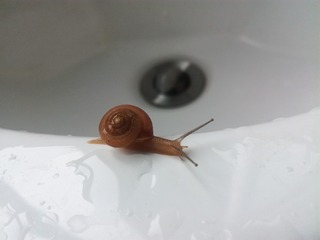 1037