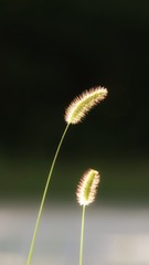 1216025
