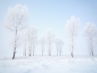 54CE93FD-788A-417C-96B5-C899D0DABCF2/L0/001