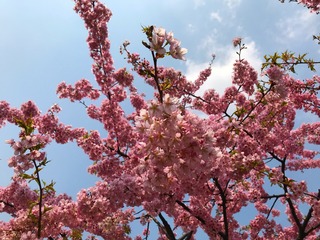 6B1E0DB8-40F6-45AC-A214-8F49FA37EDE2
