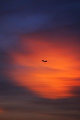 A2567ED7-B409-410C-8F87-6068D514FB47/L0/001
