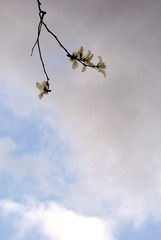 15360