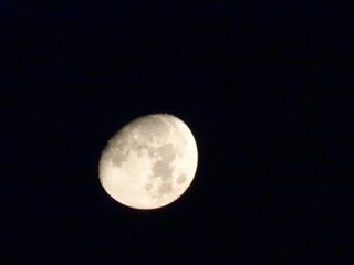 88618EAF-6374-4E6D-8FE5-D0FA9986AD71/L0/001