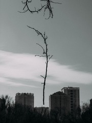 2078645