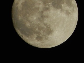 D36B3208-46ED-4D52-B143-41A8EEAF8926/L0/001