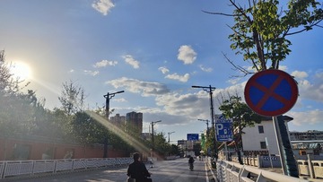 1000084549