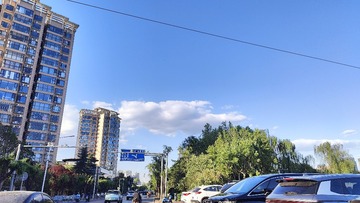 1000084539