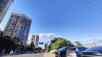 1000084540