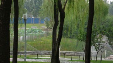P1120393