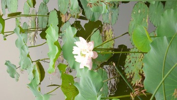 P1120399