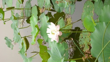 P1120400