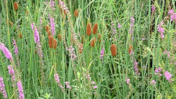 P1120403
