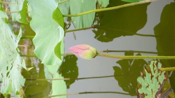 P1120404