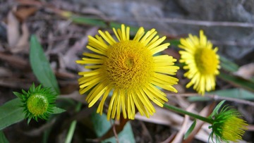 P1120430