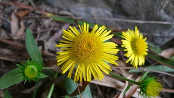 P1120431