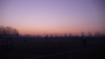 P1120521.JPG