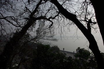 IMGP5431.JPG