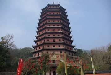 IMGP5433.JPG
