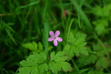 IMGP6049.JPG