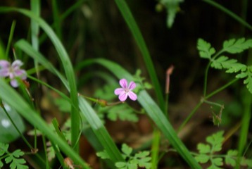 IMGP6053.JPG