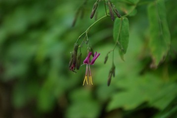 IMGP6052.JPG