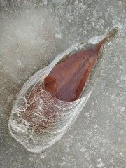 1872566
