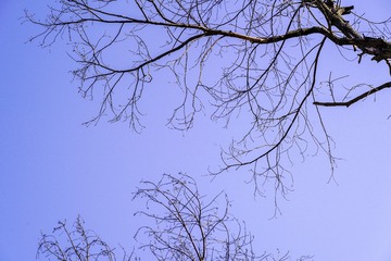 0C779696-0571-429D-B405-1C2D15127995/L0/001